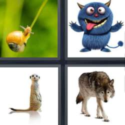 Solutions-4-images-1-mot-CREATURE Solutions-4-images-1-mot-CREATURE