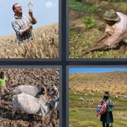 Solutions-4-images-1-mot-FERMIER Solutions-4-images-1-mot-FERMIER