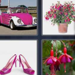 Solutions-4-images-1-mot-FUCHSIA Solutions-4-images-1-mot-FUCHSIA