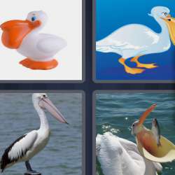 Solutions-4-images-1-mot-PELICAN Solutions-4-images-1-mot-PELICAN