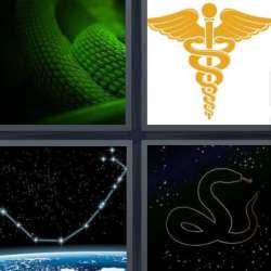 Solutions-4-images-1-mot-SERPENT Solutions-4-images-1-mot-SERPENT