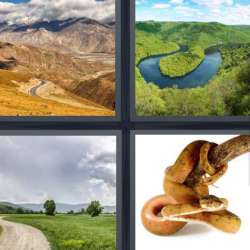 Solutions-4-images-1-mot-SINUEUX Solutions-4-images-1-mot-SINUEUX