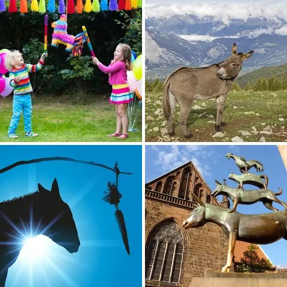 4 images 1 mot 3 lettres : solution ANE