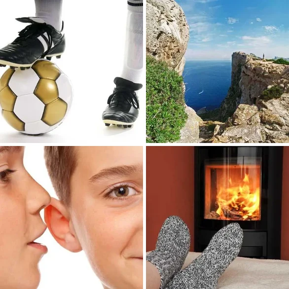 4 images 1 mot 3 lettres : solution BAS