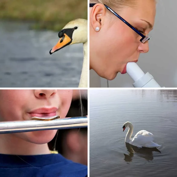 4 images 1 mot 3 lettres : solution BEC