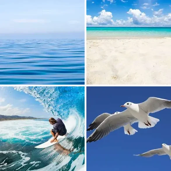 4 images 1 mot 3 lettres : solution MER