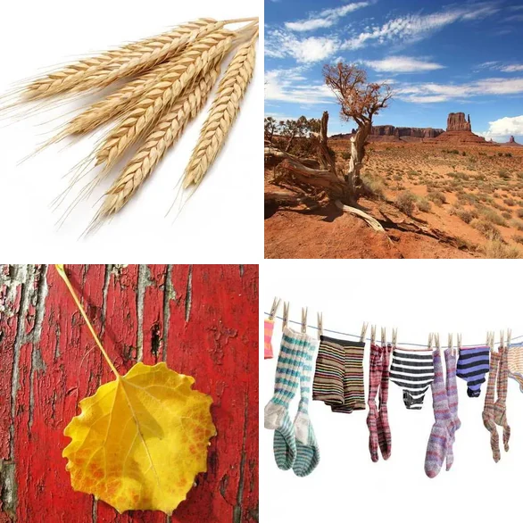 4 images 1 mot 3 lettres : solution SEC