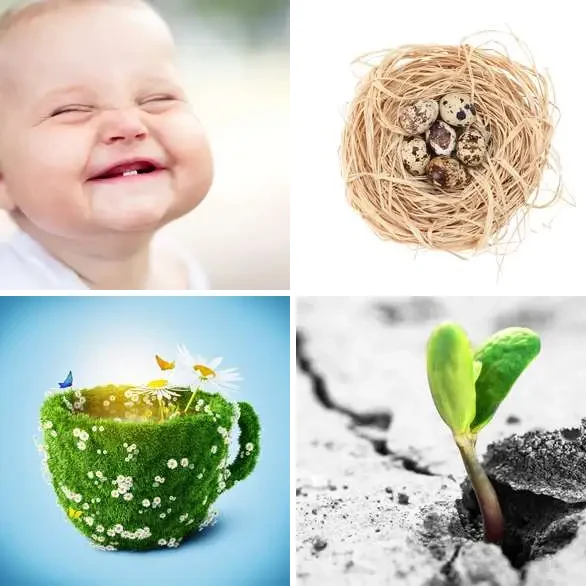 4 images 1 mot 3 lettres : solution VIE