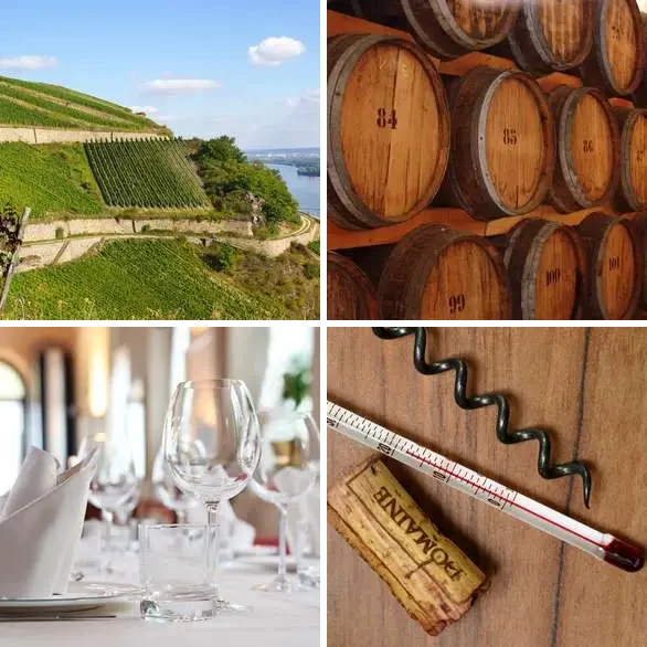 4 images 1 mot 3 lettres : solution VIN
