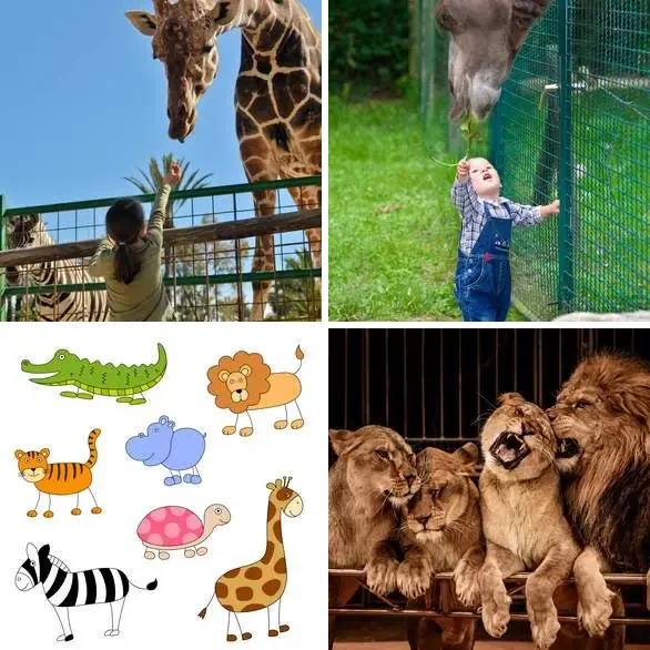 4 images 1 mot 3 lettres : solution ZOO