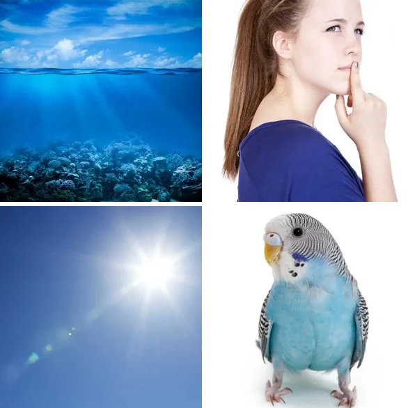 4 images 1 mot 4 lettres : solution BLEU