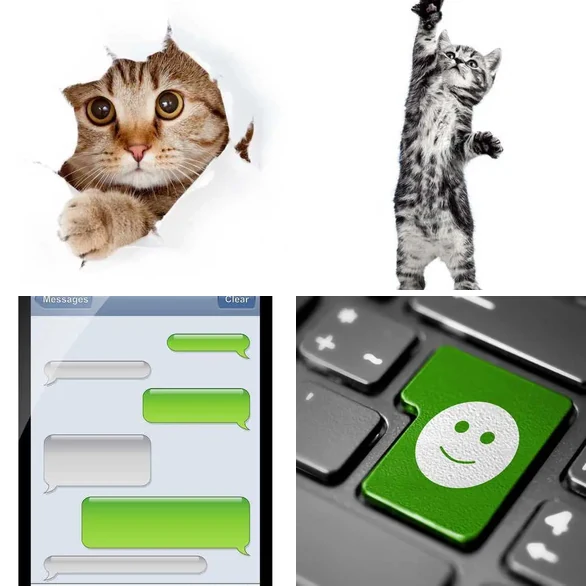 4 images 1 mot 4 lettres : solution CHAT