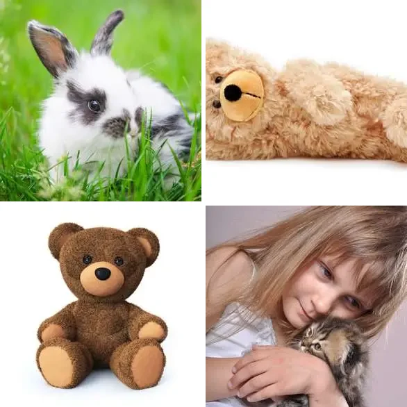 4 images 1 mot 4 lettres : solution CHOU