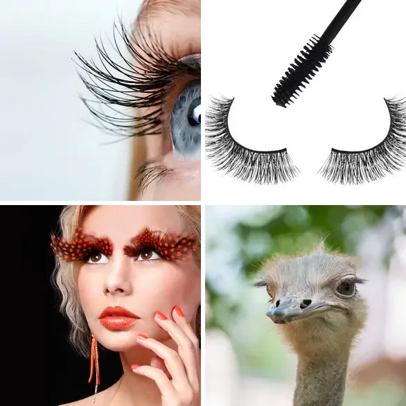 4 images 1 mot 4 lettres : solution CILS