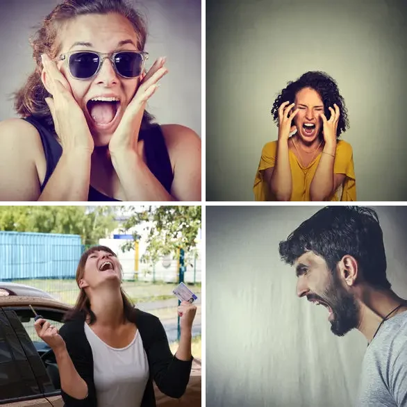4 images 1 mot 4 lettres : solution CRIS