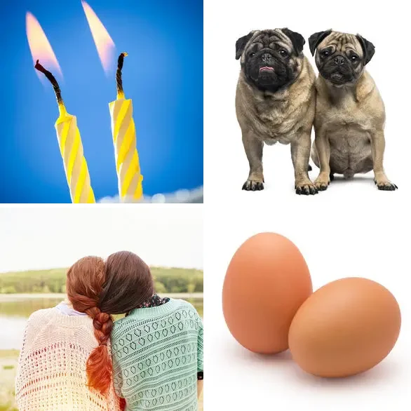4 images 1 mot 4 lettres : solution DEUX