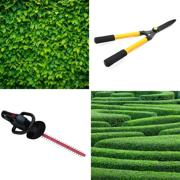 4 images 1 mot 4 lettres : solution HAIE
