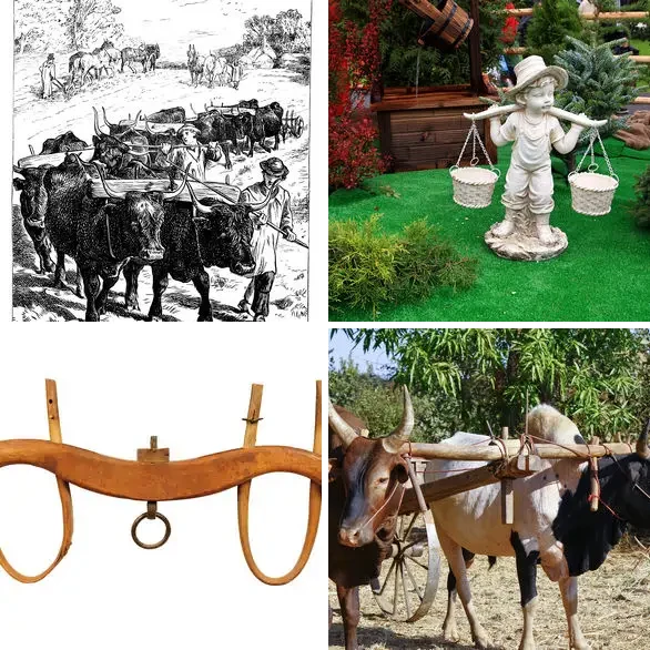 4 images 1 mot 4 lettres : solution JOUG