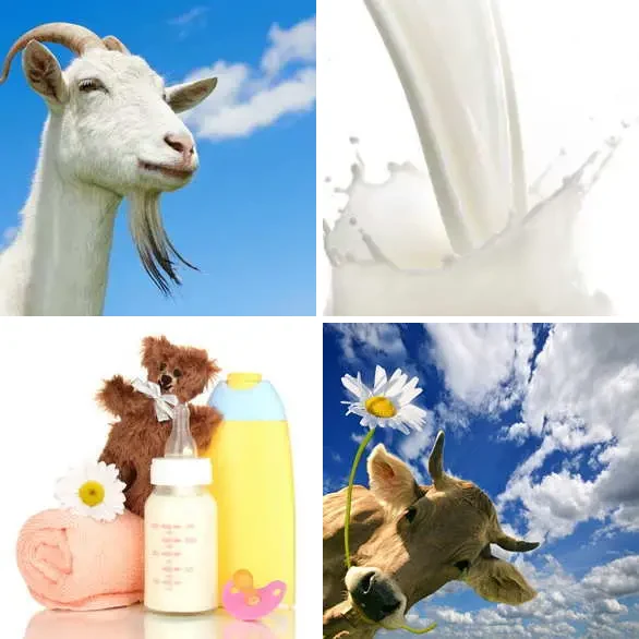4 images 1 mot 4 lettres : solution LAIT