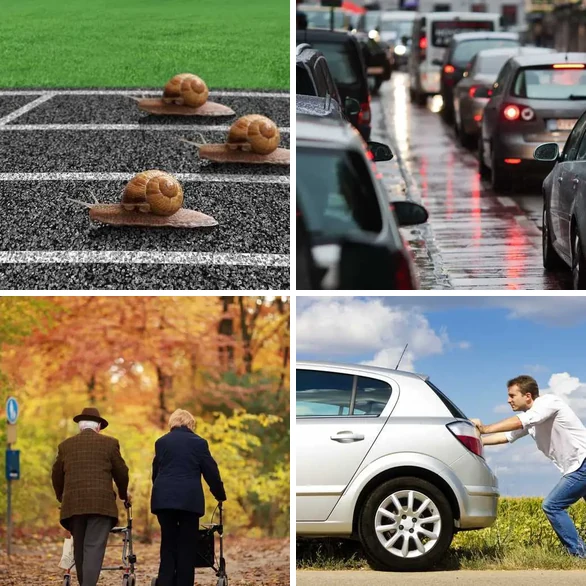4 images 1 mot 4 lettres : solution LENT