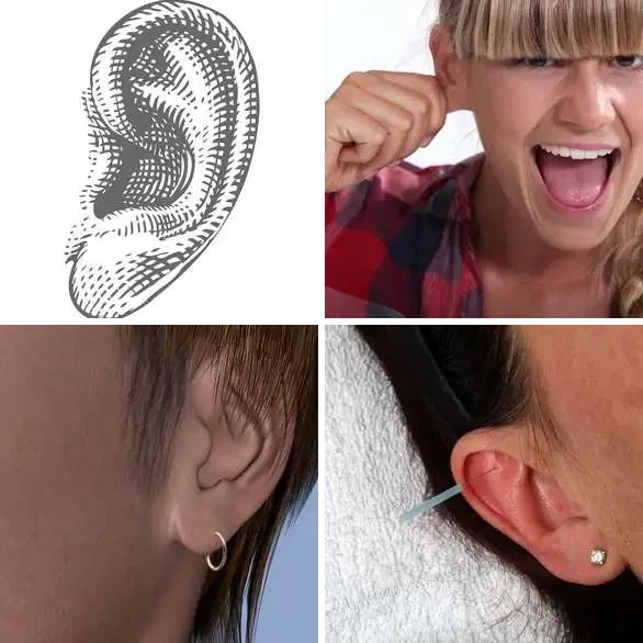 4 images 1 mot 4 lettres : solution LOBE