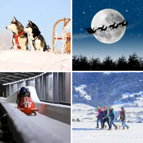 4 images 1 mot 4 lettres : solution LUGE