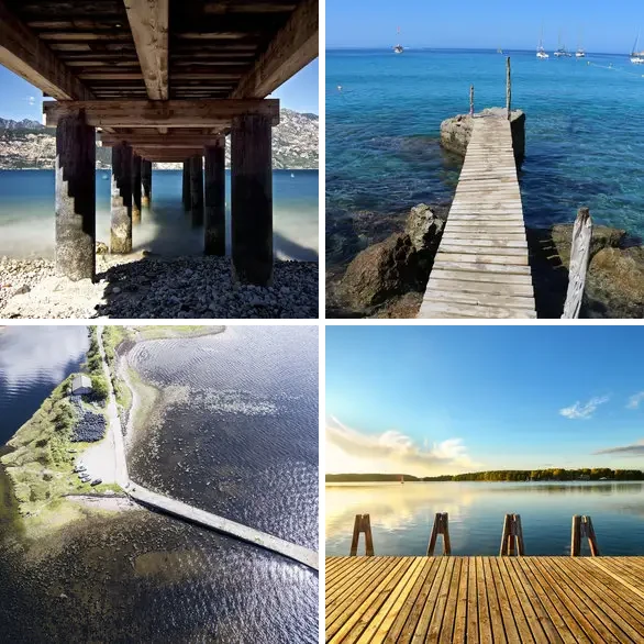 4 images 1 mot 4 lettres : solution MÔLE