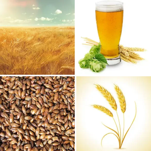 4 images 1 mot 4 lettres : solution ORGE