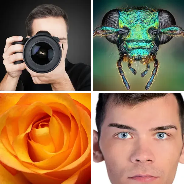 4 images 1 mot 4 lettres : solution PRES