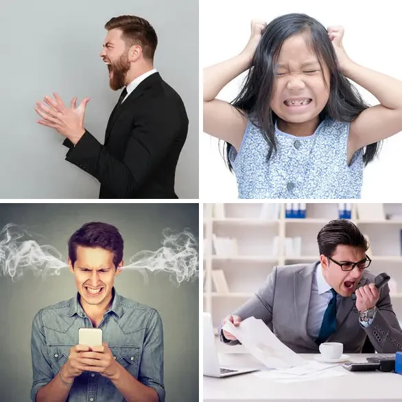 4 images 1 mot 4 lettres : solution RAGE