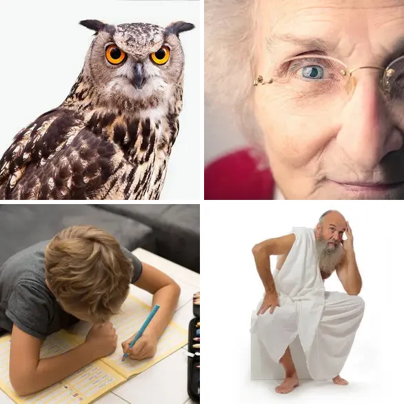 4 images 1 mot 4 lettres : solution SAGE