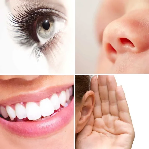 4 images 1 mot 4 lettres : solution SENS