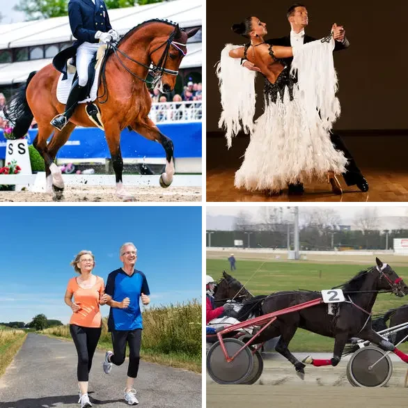 4 images 1 mot 4 lettres : solution TROT