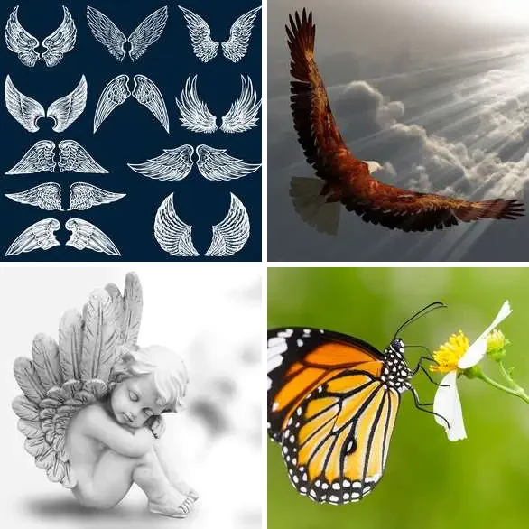 4 images 1 mot 5 lettres : solution AILES