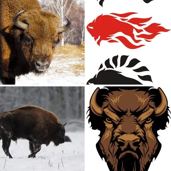 4 images 1 mot 5 lettres : solution BISON