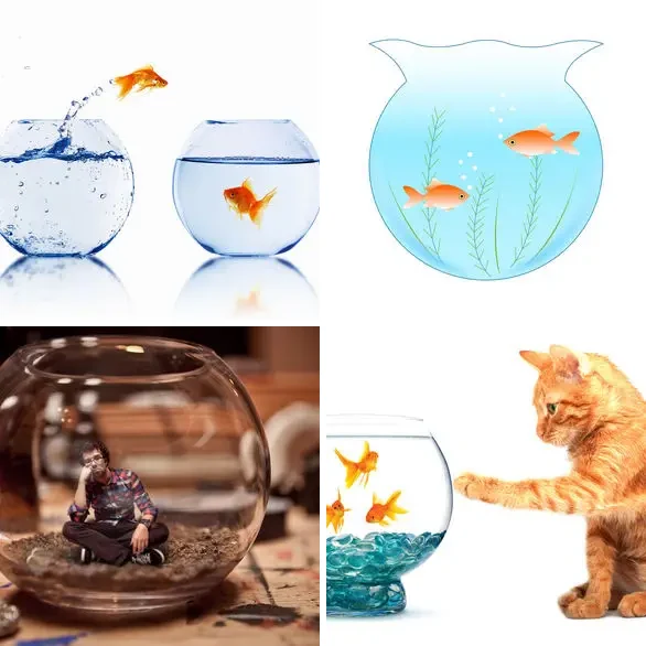 4 images 1 mot 5 lettres : solution BOCAL