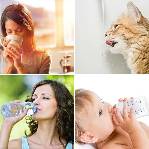4 images 1 mot 5 lettres : solution BOIRE