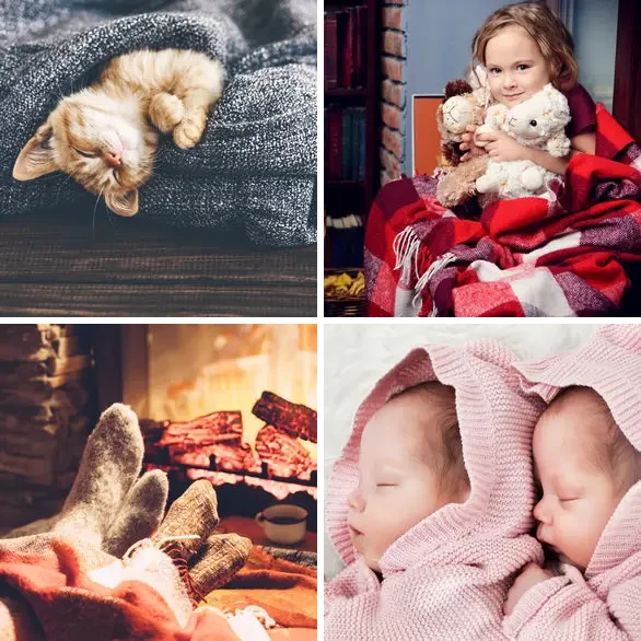 4 images 1 mot 5 lettres : solution CALIN