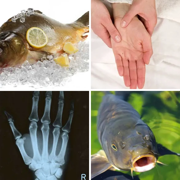 4 images 1 mot 5 lettres : solution CARPE