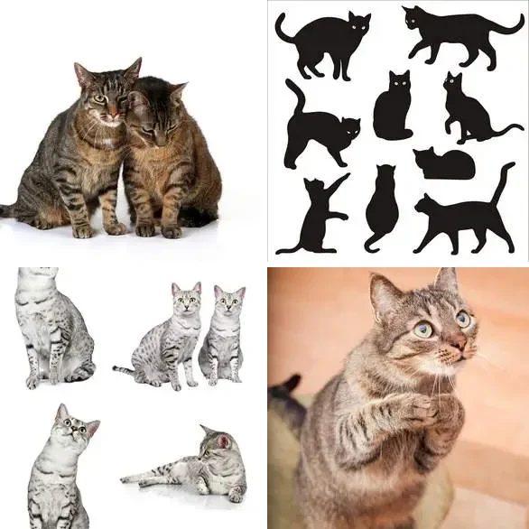 4 images 1 mot 5 lettres : solution CHATS