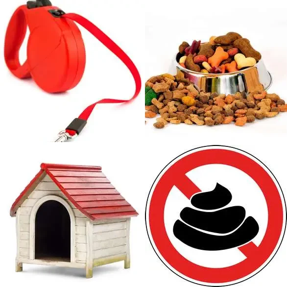 4 images 1 mot 5 lettres : solution CHIEN