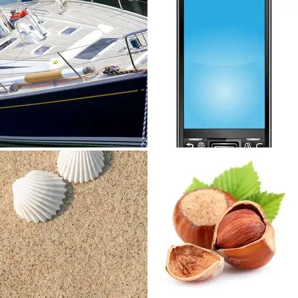 4 images 1 mot 5 lettres : solution COQUE