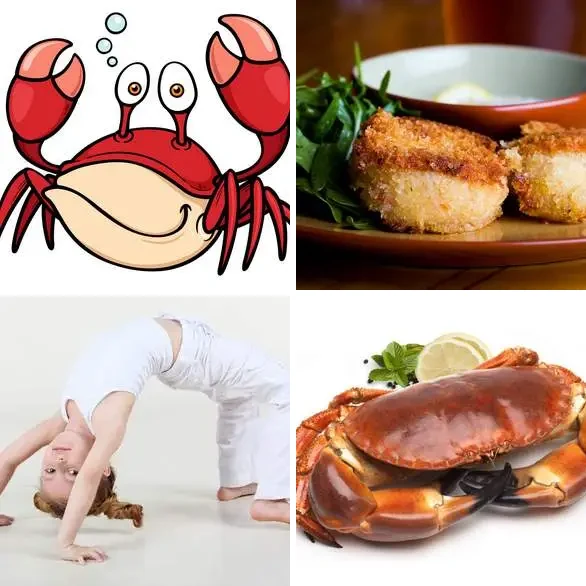 4 images 1 mot 5 lettres : solution CRABE