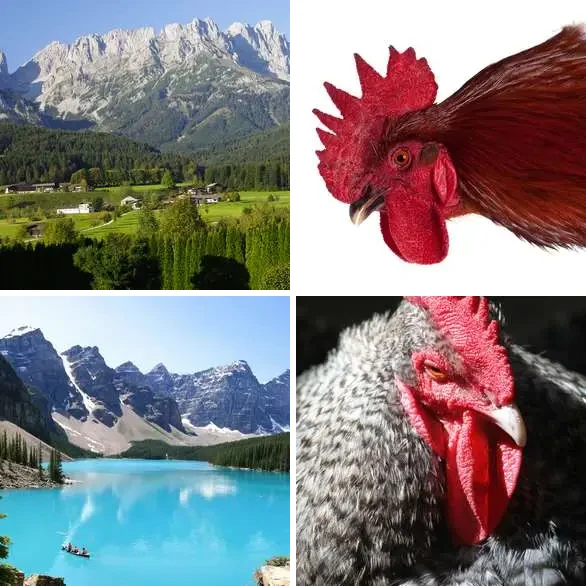 4 images 1 mot 5 lettres : solution CRETE