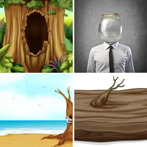 4 images 1 mot 5 lettres : solution CREUX