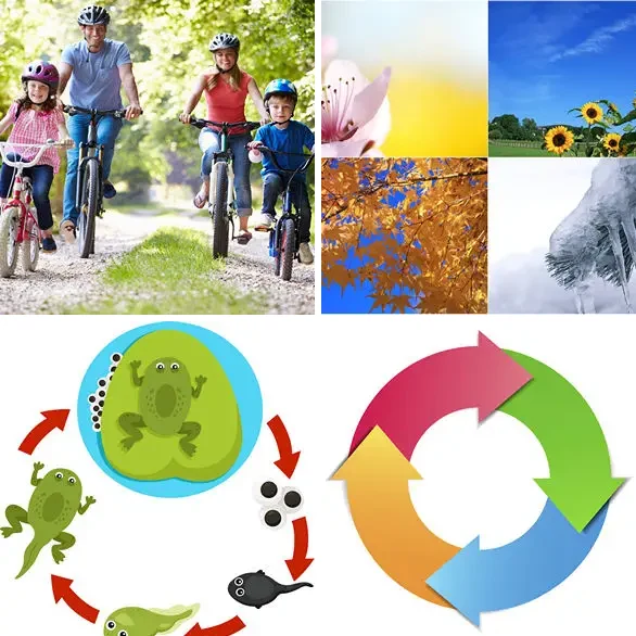 4 images 1 mot 5 lettres : solution CYCLE