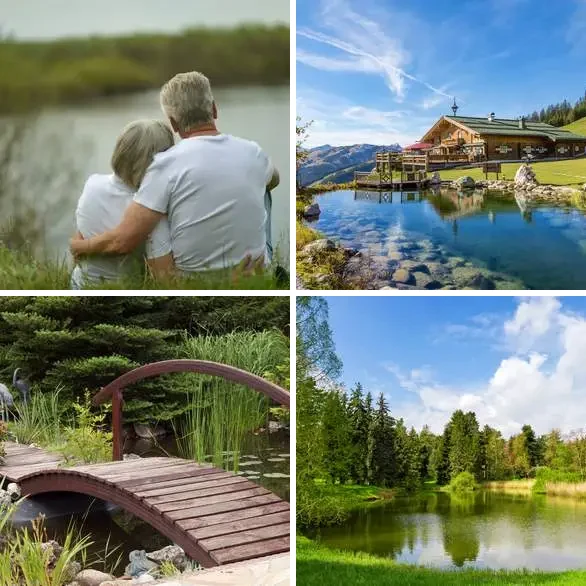 4 images 1 mot 5 lettres : solution ETANG