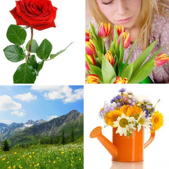 4 images 1 mot 5 lettres : solution FLEUR
