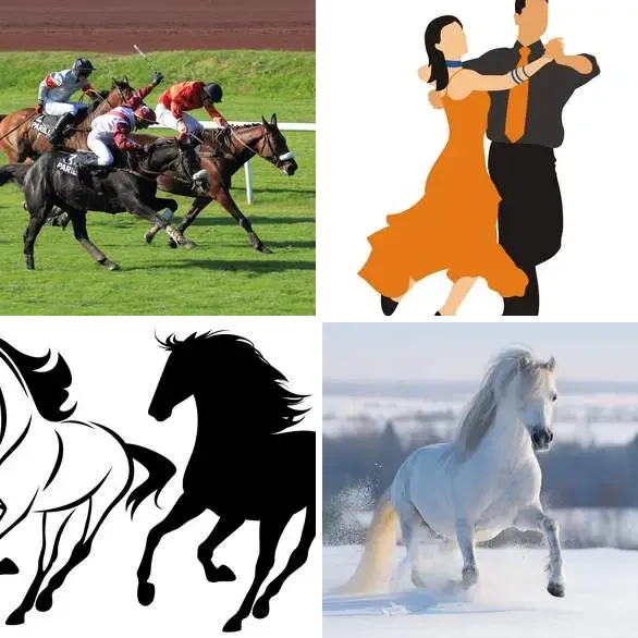 4 images 1 mot 5 lettres : solution GALOP