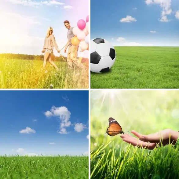 4 images 1 mot 5 lettres : solution HERBE